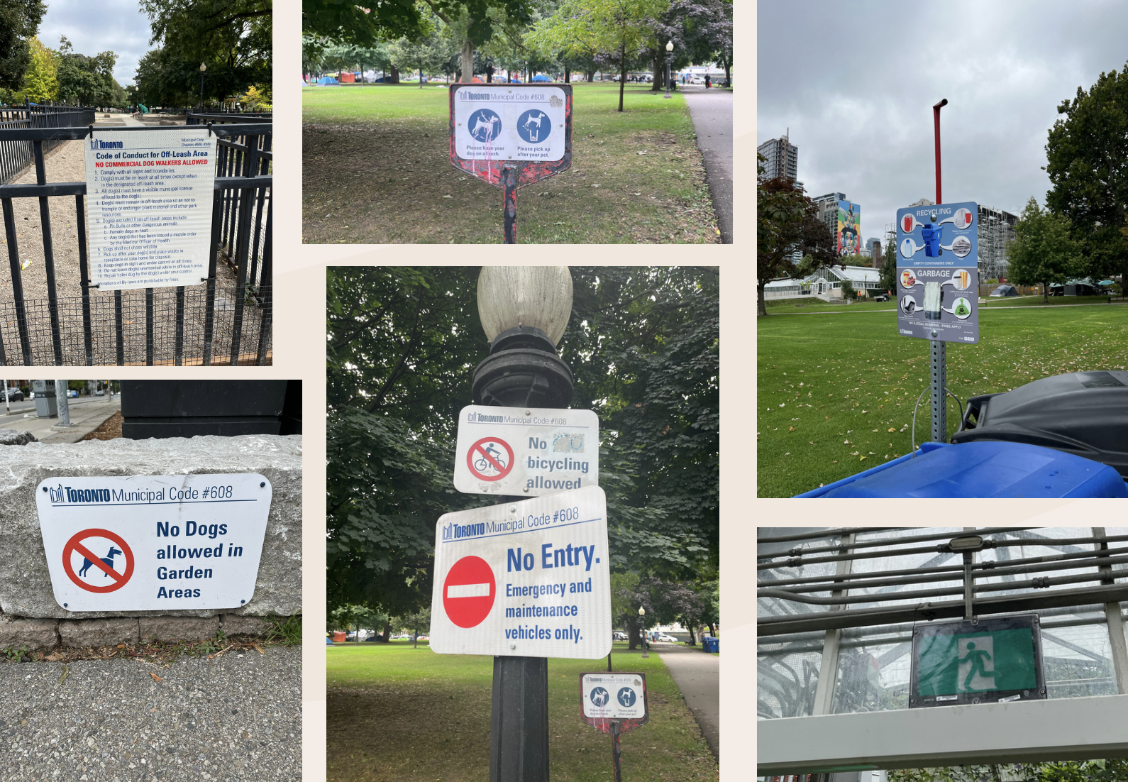 Orientational signage observations